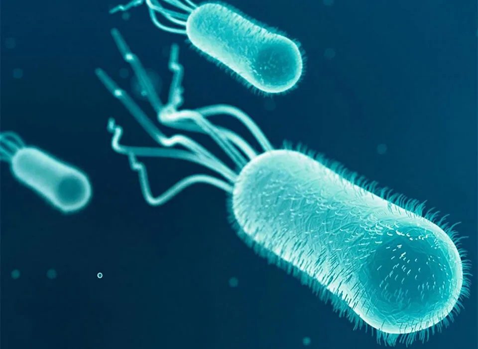 Airborn particals | Cleanrooms | i-team Global