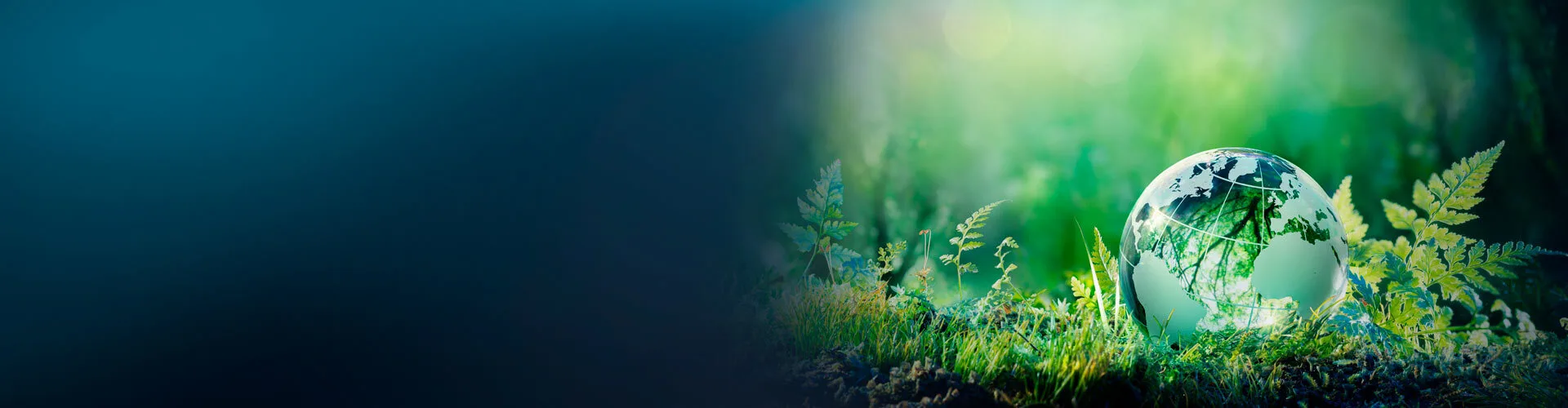 i-team sustainability website