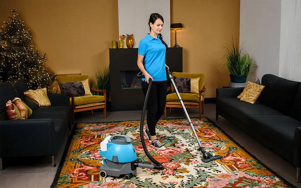 Pro vacuum vac 5b cleans a living room